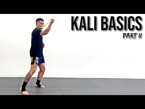 Видео: 5 упражнений на одиночные удары | Основы Kali, часть II