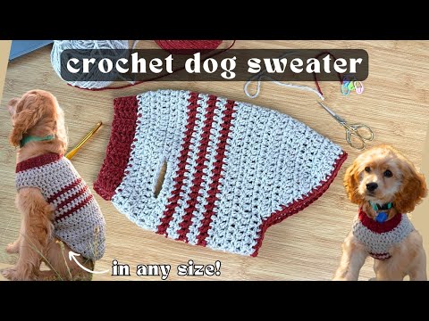 Видео: Урок по вязанию свитера для собак крючком | быстрые и простые проекты по вязанию крючком для начи...