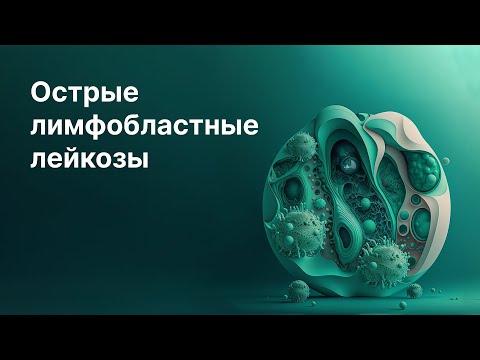 Видео: Острые лимфобластные лейкозы