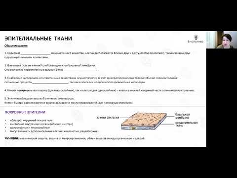 Видео: Лекция 38  Ткани. Часть 1