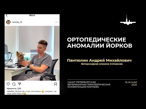 Видео: Ортопедические аномалии йорков