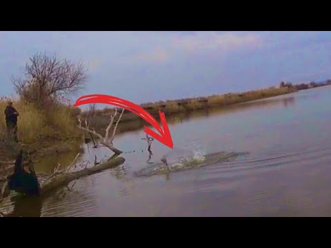 Видео: ВСЕ ЗАМЕРЛИ КОГДА Я ЕГО ДОСТАВАЛ С КОРЯГИ  рыбалка весной