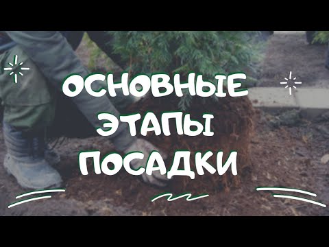 Видео: Основные этапы посадки