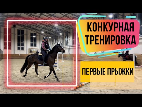 Видео: Конкурная тренировка: Нервная кобыла
