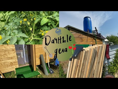 Видео: Дачные дела 🏡 Жара мешает работать