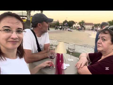 Видео: День города 2/2. Ресторан. Винская улица #жизньвсербии  #жизньзаграницей #иммиграция 