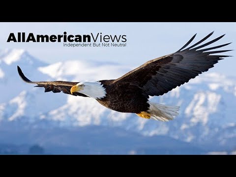 Видео: Иммиграция - проблемы и решения. 3