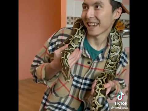 Видео: АЗАМАТ ТҰРСЫНБАЙ ДЫҢ ВАИНДАРЫ