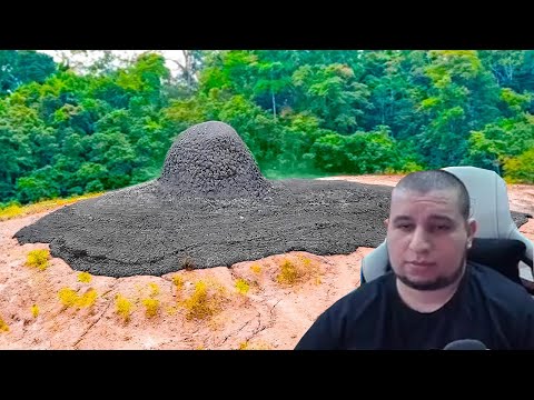 Видео: МАНУРИН СМОТРИТ Случаи в Природе Один на Миллион