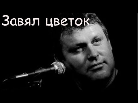 Видео: Чёрный Лукич - Завял цветок