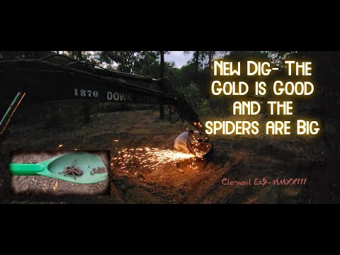 Видео: Новые раскопки = новое золото (среди пернатых и пушистых друзей)