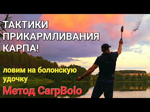 Видео: Тактики прикармливания карпа!
