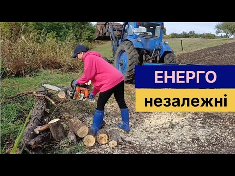Видео: Як зекономити на опаленні: газ, дрова чи електрика?
