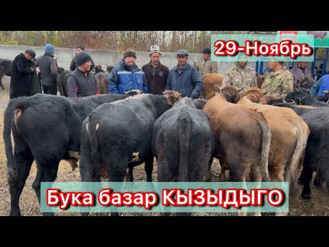 Видео: Бука базар НОКАТТА КЫЗЫДЫ,  СОЧНЫЙ ЖЭРИДЕН 29-Октябрь 