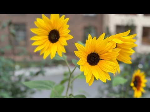 Видео: Инстаграм паракшамдағы салынбай қалған видеолар😍