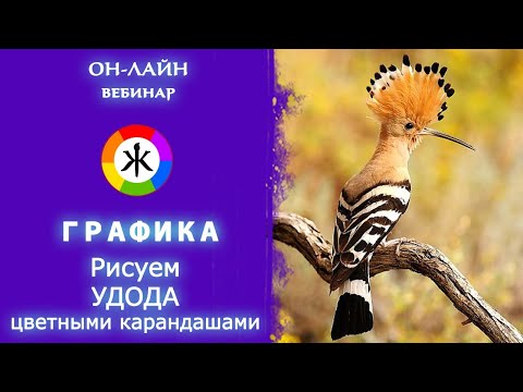 Видео: Рисуем цветными карандашами "УДОД". ГРАФИКА 2 урок