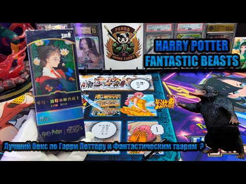 Видео: HARRY POTTERFANTASTIC BEASTS KAYOU   / ГАРРИ ПОТТЕР КАЮ/ ЛУЧШЕ БЫТЬ НЕ МОЖЕТ ?