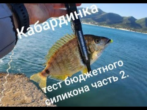 Видео: Кабардинка тест бюджетного силикона часть 2. Kabardinka test silicone budget part 2.