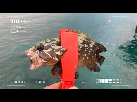 Видео: Микроджиг в Турции. Первая рыбалка на море