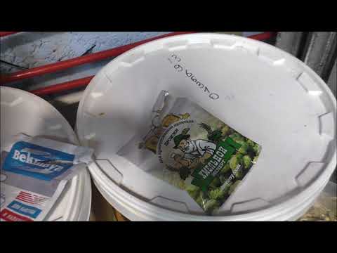 Видео: ДРОЖЖИ Бекмая и Хмельной эксперт кто круче .