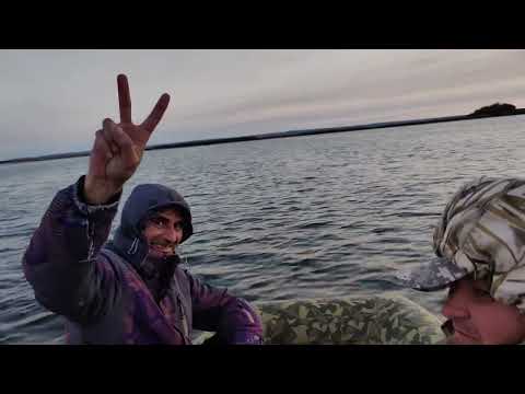 Видео: ЛОДКА ПВХ ALTAIR HD-380 НДНД,цвет Карелия .