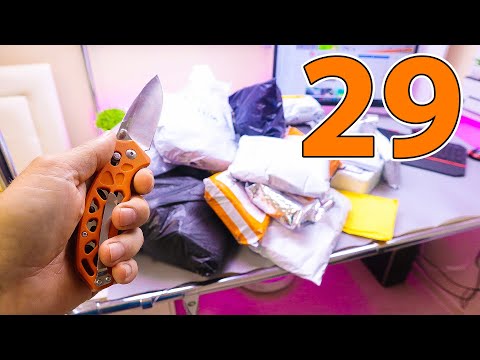 Видео: 29 САМЫХ ПОПУЛЯРНЫХ ТОВАРОВ С АЛИЭКСПРЕСС! РАСПАКОВКА ПОСЫЛОК ИЗ КИТАЯ!
