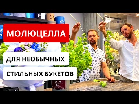 Видео: МОЛЮЦЕЛЛА во флористике. В каких букетах использовать? Особенности молюцеллы.