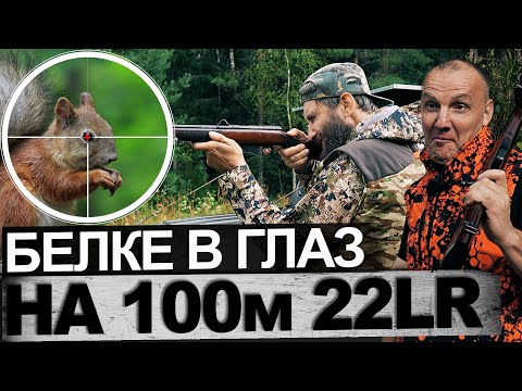 Видео: Белке в глаз на 100 м из ТОЗ -78-04М