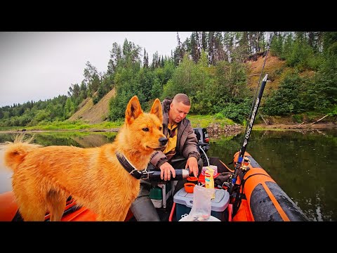 Видео: ВЫБРАЛИСЬ НА ПРИРОДУ. ЛЕСНАЯ БАНЯ И НОЧЬ В ИЗБЕ. СПЛАВ И РЫБАЛКА .ЗАКРЫВАЕМ ЛЕТНИЙ СЕЗОН.