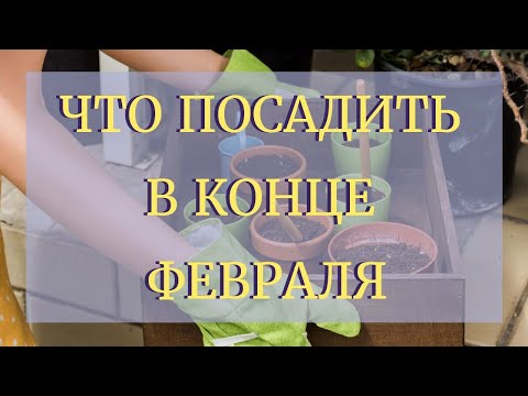 Видео: План посадок на конец февраля.