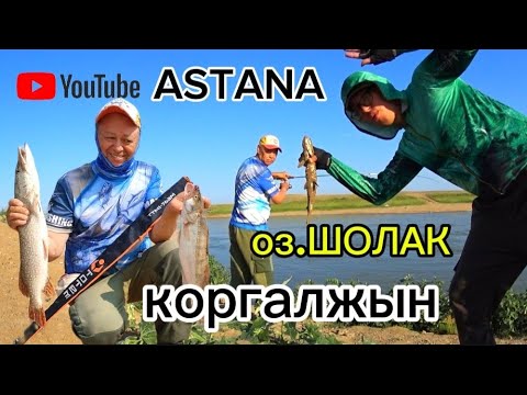 Видео: Летняя рыбалка с ночёвкой.Озеро Шолак.Спиннинг в дугу офигеть. Река Нура.River fishing Kazakhstan.