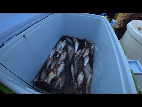 Видео: Как перевозить живую рыбу, лайвел в лодку пвх