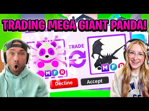 Видео: Кэмми наконец-то получает нового ЛУЧШЕГО ПИТОМЦА в «УСЫНОВИТЕ МЕНЯ!» — МЕГА-Панду!