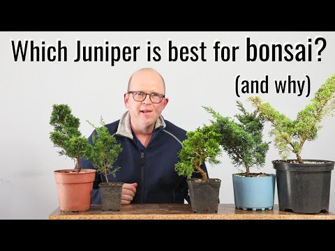 Видео: Жаль, что я не увидел это видео 2 года назад!