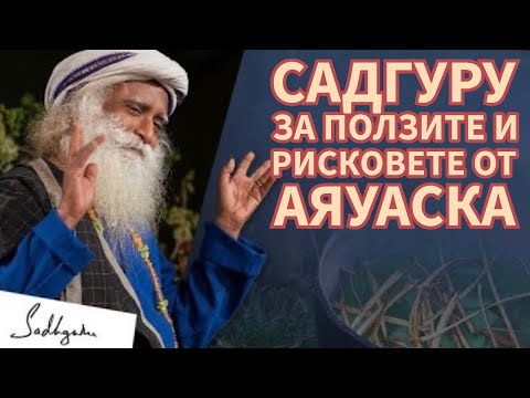 Видео: Садгуру за Аяуаска: Какво трябва да знаете / Садгуру Даршан