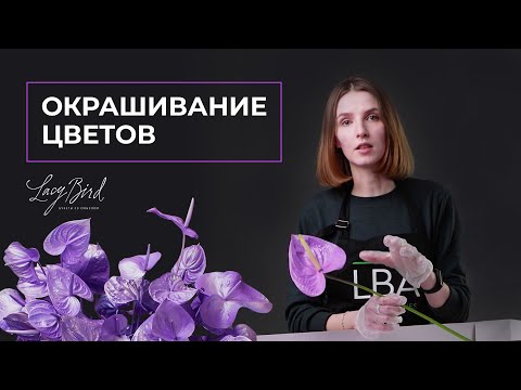 Видео: КАК ПОКРАСИТЬ ЦВЕТЫ | ИНСТРУКЦИЯ ОТ LBA