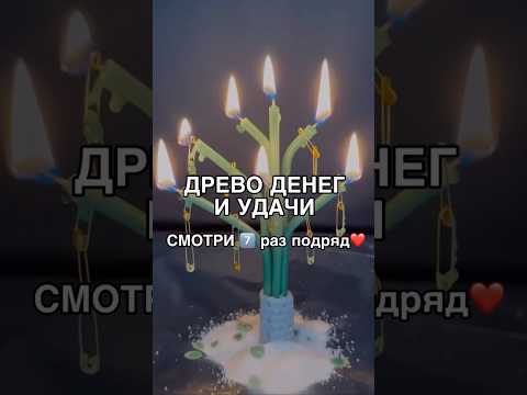 Видео: ДРЕВО ДЕНЕГ И УДАЧИ смотри7️⃣раз #магия #ритуалы #shots #обряды #ритуал #деньги #удача #богатство