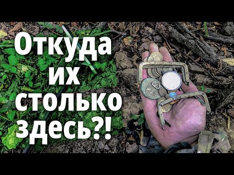 Видео: Странное место. Куча кошельков на лесной дороге! Откуда их столько здесь?!