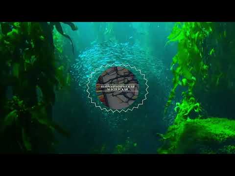 Видео: Музыка для медитации и рисования нейрографики 1 [Нейрографическая мастерская]