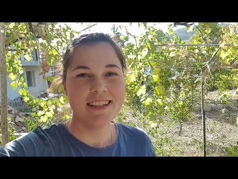 Видео: 🌶️🐶РЕЦЕПТА ЗА ПУКАНИ ЧУШКИ ВЪРХАРИ ЗА ЗИМАТА/ ДА ИЗКЪПЕМ ВЯРА/ ОТИВАМЕ НА ГОСТИ 🐶🌶️