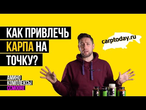 Видео: Аминокомлексы - мощный пищевой сигнал для ловли карпа