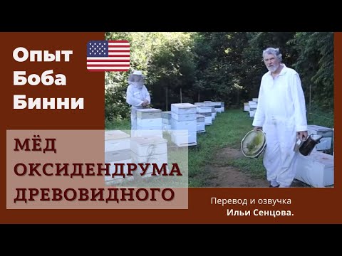 Видео: Как получать монофлёрный мед на стационарной пасеке? - Мед оксидендрума древовидного с Аппалач (США)