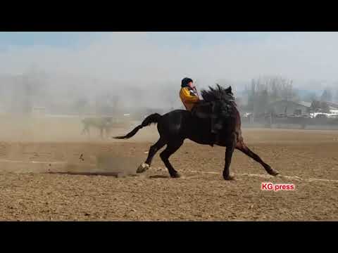 Видео: КӨК БӨРҮ: Өзгөн Аксыны 7:0 гө утту.