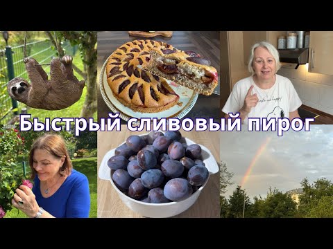 Видео: VLOG🇩🇪Супер пирог/Пропажа вещей/Быстрый ужин/Мама в гостях с гостинцами/Умный пёс/Прогулка