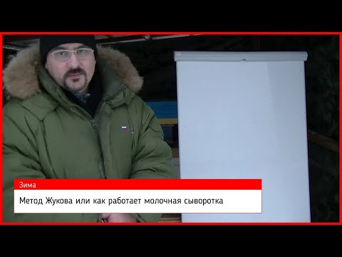 Видео: ❤ Метод Жукова или как работает Молочная сыворотка ❤