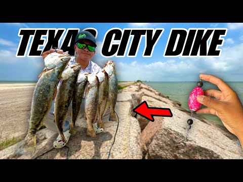 Видео: Ловим ОГРОМНОЕ количество крапчатой ​​форели на дамбе в Техас-Сити!!