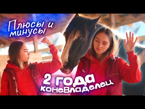 Видео: ПЛЮСЫ и МИНУСЫ, когда ты КОНЕВЛАДЕЛЕЦ / Вопрос-ответ