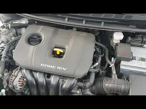 Видео: KIA G4NA:Cerato Запуск авто в -18 и с наступающим НГ🌲