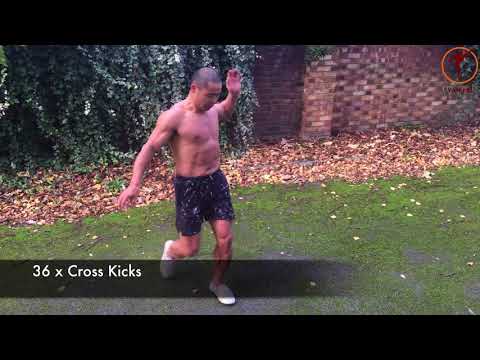 Видео: Тренировка стойки и ударов Шаолиньского кунг-фу