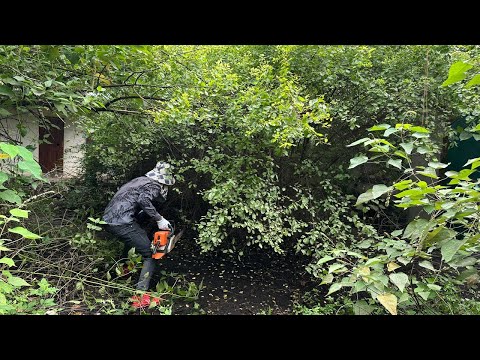 Видео: Странные звуки во время уборки дома Растительность, покрывающая сад Пиление ног Часть 1